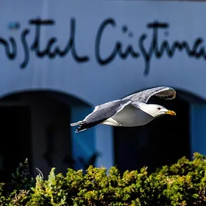 https://hostal-cristina.catalonia-hotels.com